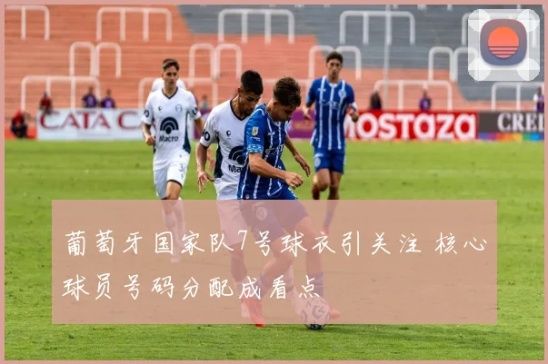 葡萄牙国家队7号球衣引关注 核心球员号码分配成看点