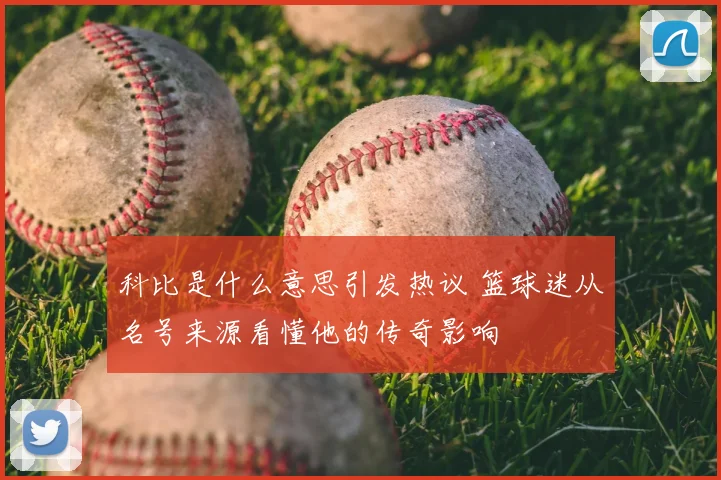 科比是什么意思引发热议 篮球迷从名号来源看懂他的传奇影响