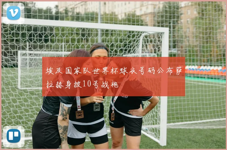 埃及国家队世界杯球衣号码公布萨拉赫身披10号战袍