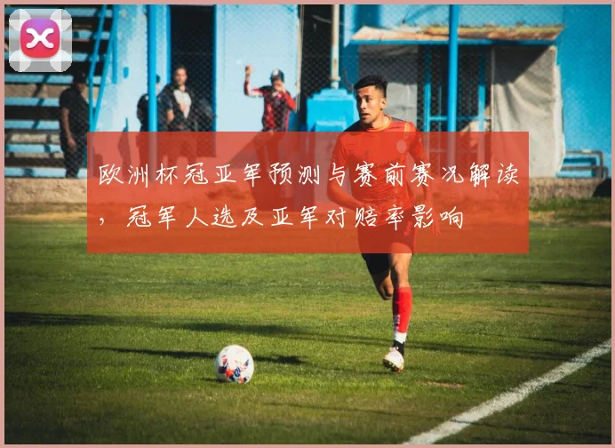 欧洲杯冠亚军预测与赛前赛况解读,冠军人选及亚军对赔率影响